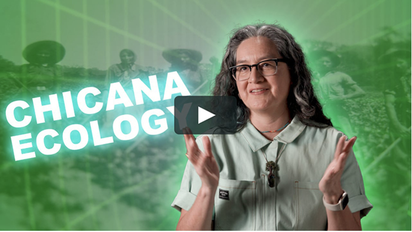 Chicana ecology